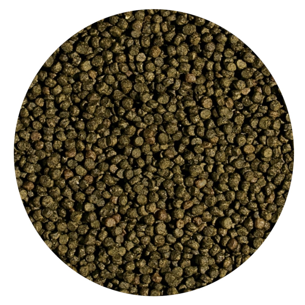 Koi spirulina pellet s.jpg